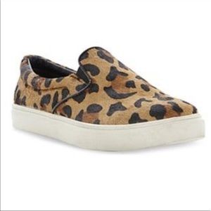 Steve Madden | Ecentric | Slip onSneaker